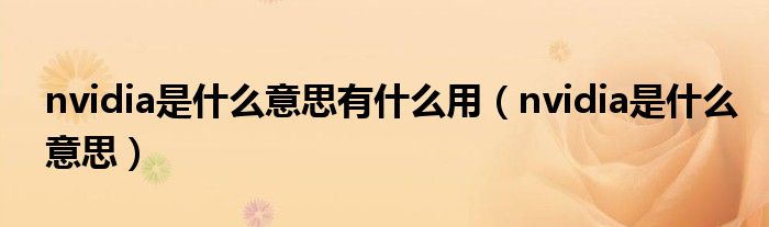 nvidia是什么意思有什么用（nvidia是什么意思）