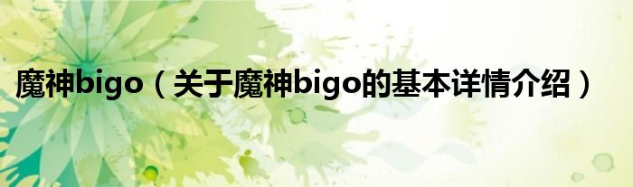 魔神bigo（关于魔神bigo的基本详情介绍）