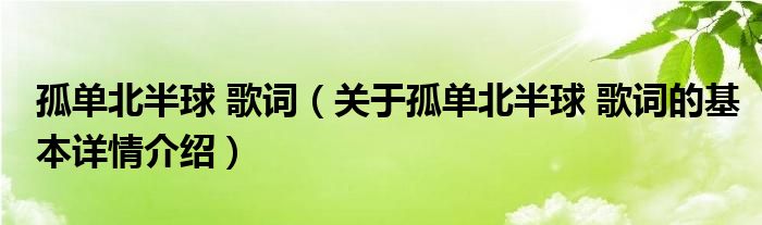 孤单北半球 歌词（关于孤单北半球 歌词的基本详情介绍）