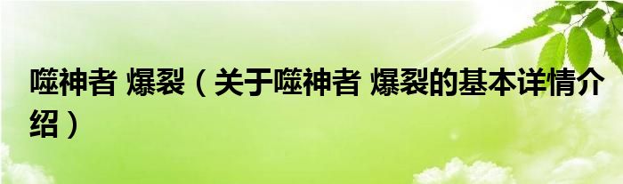 噬神者 爆裂（关于噬神者 爆裂的基本详情介绍）