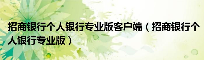 招商银行个人银行专业版客户端（招商银行个人银行专业版）