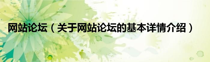 网站论坛（关于网站论坛的基本详情介绍）