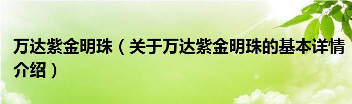 万达紫金明珠（关于万达紫金明珠的基本详情介绍）