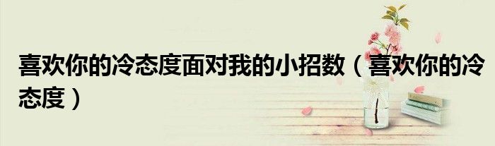 喜欢你的冷态度面对我的小招数（喜欢你的冷态度）