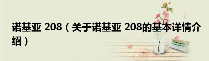 诺基亚 208（关于诺基亚 208的基本详情介绍）