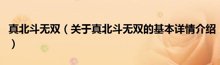 真北斗无双（关于真北斗无双的基本详情介绍）