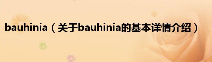 bauhinia（关于bauhinia的基本详情介绍）