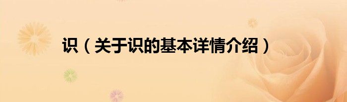 识（关于识的基本详情介绍）