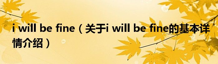 i will be fine（关于i will be fine的基本详情介绍）