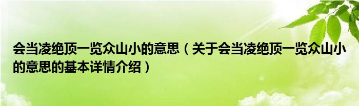 会当凌绝顶一览众山小的意思（关于会当凌绝顶一览众山小的意思的基本详情介绍）