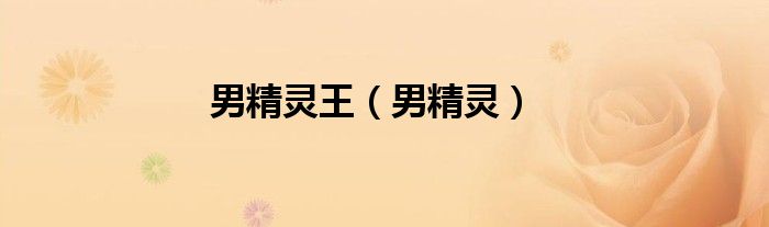 男精灵王（男精灵）