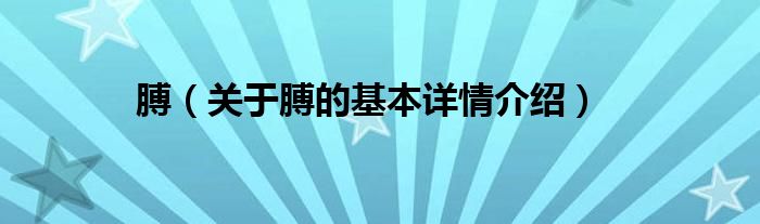 膊（关于膊的基本详情介绍）