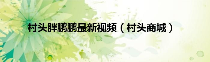 村头胖鹏鹏最新视频（村头商城）