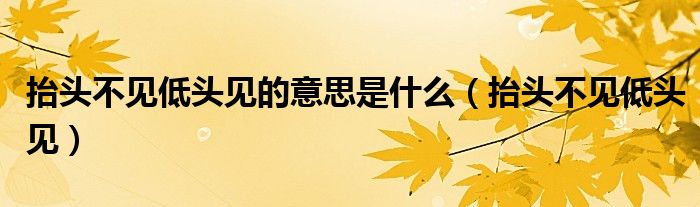 抬头不见低头见的意思是什么（抬头不见低头见）