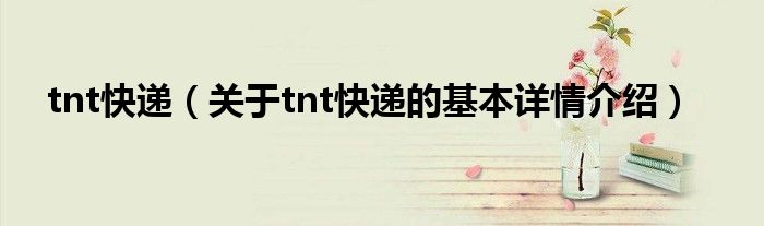 tnt快递（关于tnt快递的基本详情介绍）