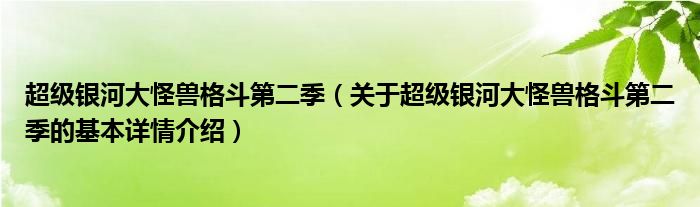 超级银河大怪兽格斗第二季（关于超级银河大怪兽格斗第二季的基本详情介绍）