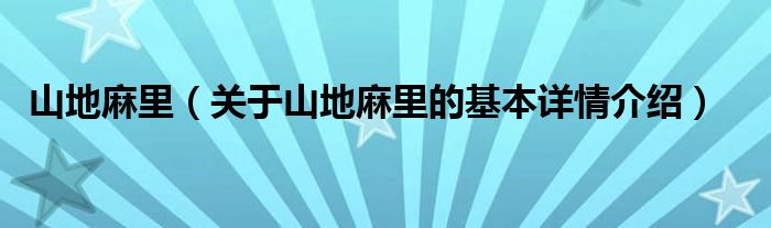 山地麻里（关于山地麻里的基本详情介绍）