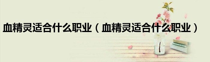 血精灵适合什么职业（血精灵适合什么职业）