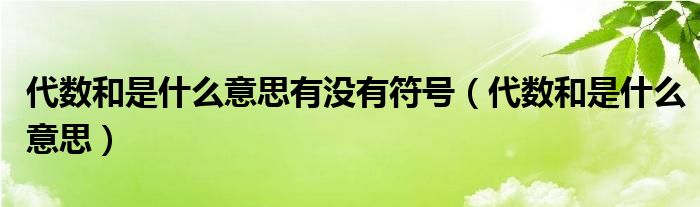 代数和是什么意思有没有符号（代数和是什么意思）