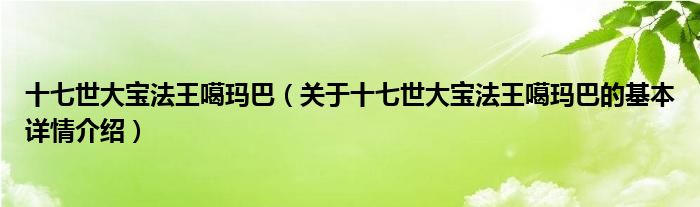 十七世大宝法王噶玛巴（关于十七世大宝法王噶玛巴的基本详情介绍）