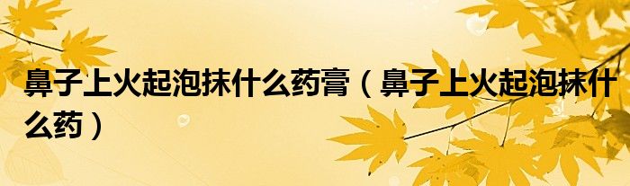 鼻子上火起泡抹什么药膏（鼻子上火起泡抹什么药）
