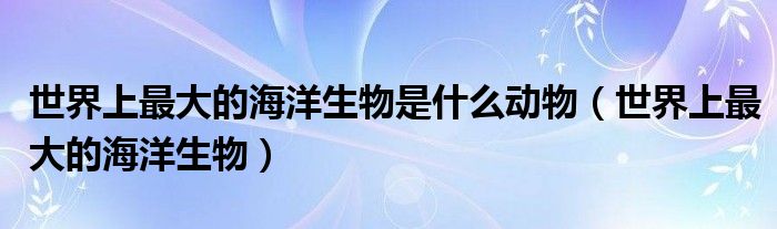 世界上最大的海洋生物是什么动物（世界上最大的海洋生物）