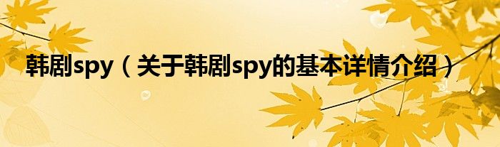 韩剧spy（关于韩剧spy的基本详情介绍）