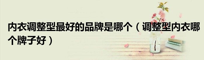 内衣调整型最好的品牌是哪个（调整型内衣哪个牌子好）