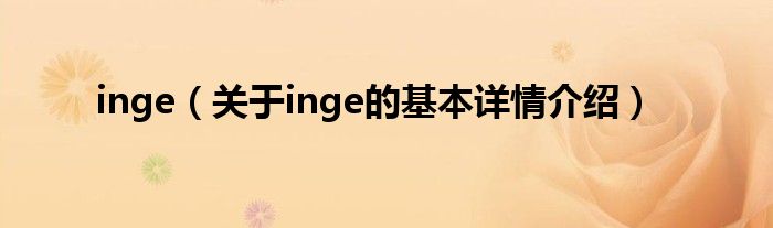 inge（关于inge的基本详情介绍）