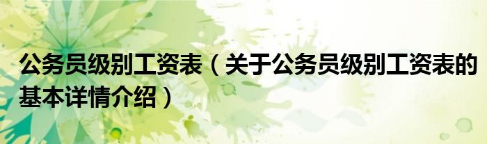 公务员级别工资表（关于公务员级别工资表的基本详情介绍）