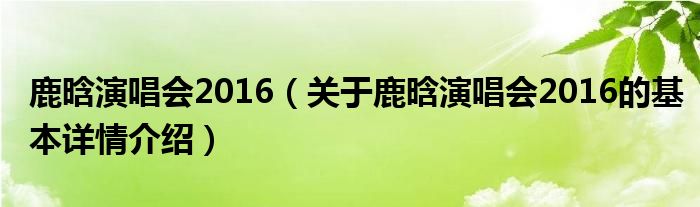 鹿晗演唱会2016（关于鹿晗演唱会2016的基本详情介绍）