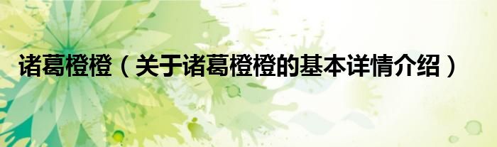 诸葛橙橙（关于诸葛橙橙的基本详情介绍）