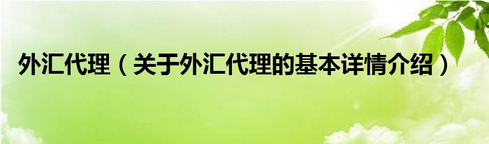 外汇代理（关于外汇代理的基本详情介绍）