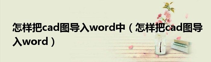 怎样把cad图导入word中（怎样把cad图导入word）