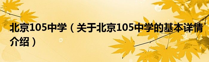 北京105中学（关于北京105中学的基本详情介绍）
