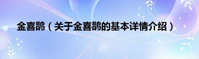 金喜鹊（关于金喜鹊的基本详情介绍）