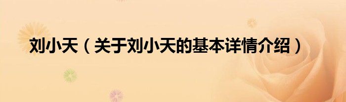 刘小天（关于刘小天的基本详情介绍）