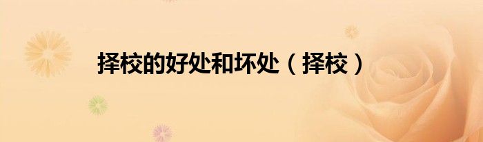 择校的好处和坏处（择校）