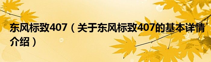 东风标致407（关于东风标致407的基本详情介绍）