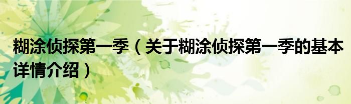 糊涂侦探第一季（关于糊涂侦探第一季的基本详情介绍）