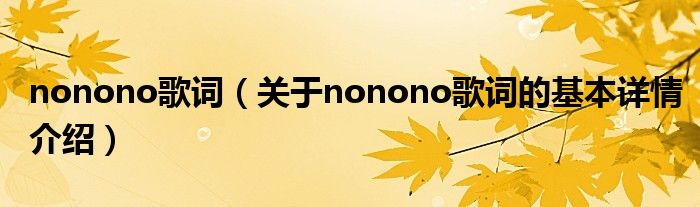 nonono歌词（关于nonono歌词的基本详情介绍）