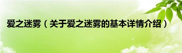 爱之迷雾（关于爱之迷雾的基本详情介绍）