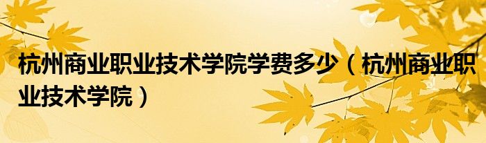 杭州商业职业技术学院学费多少（杭州商业职业技术学院）