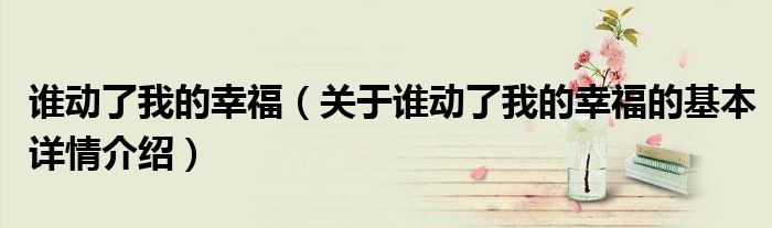 谁动了我的幸福（关于谁动了我的幸福的基本详情介绍）