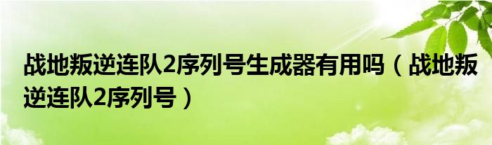 战地叛逆连队2序列号生成器有用吗（战地叛逆连队2序列号）