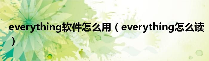 everything软件怎么用（everything怎么读）