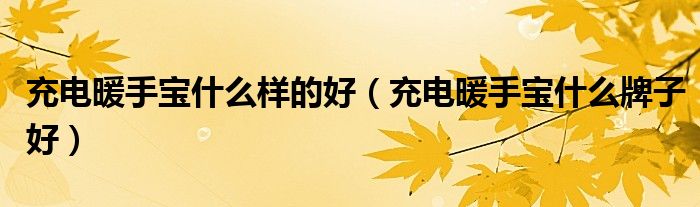 充电暖手宝什么样的好（充电暖手宝什么牌子好）