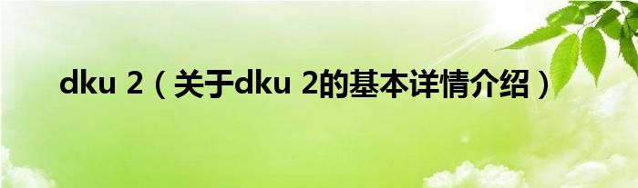 dku 2（关于dku 2的基本详情介绍）