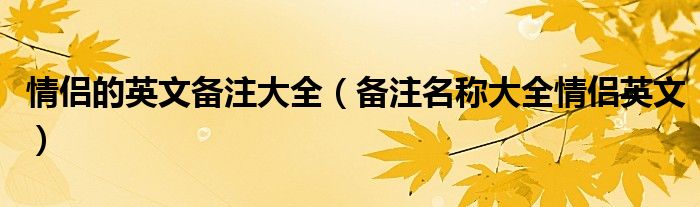 情侣的英文备注大全（备注名称大全情侣英文）