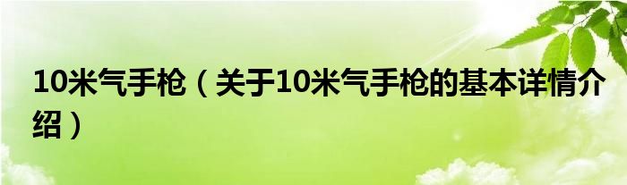 10米气手枪（关于10米气手枪的基本详情介绍）